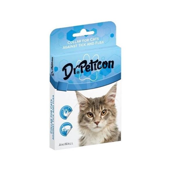 Bolhanyakörv macska 26.02